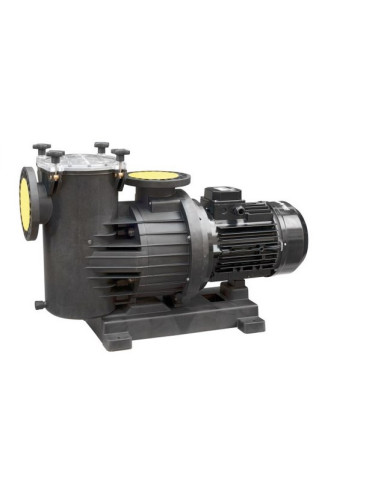 Pompe piscine collective MAGNUS
